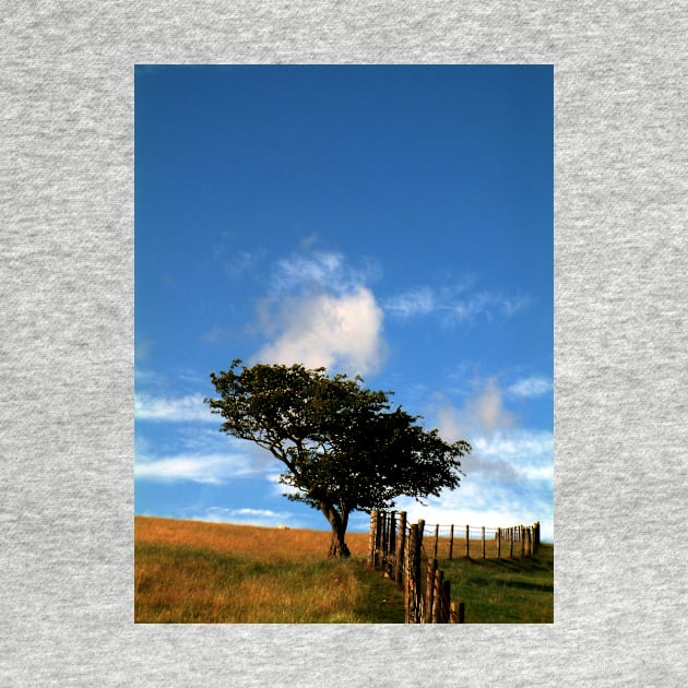 Tree on a Hill by newbeltane